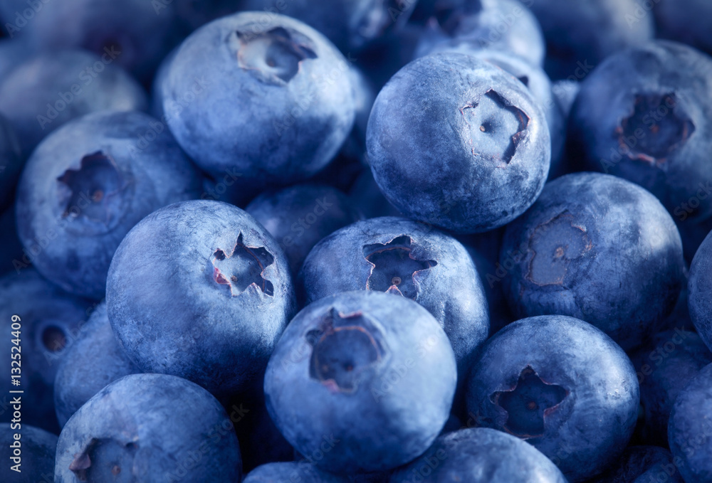 Freshly picked blueberries