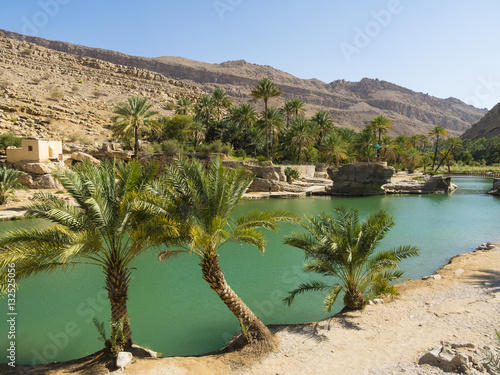 Sultanat Oman, Sharqiya Region, Muqal,  Wadi Bani Khalid, Süsswassersee photo