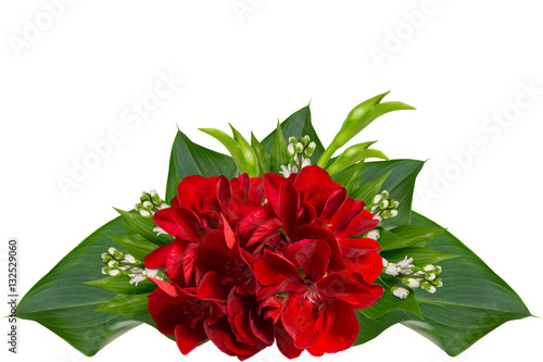 red flowers,greeting card