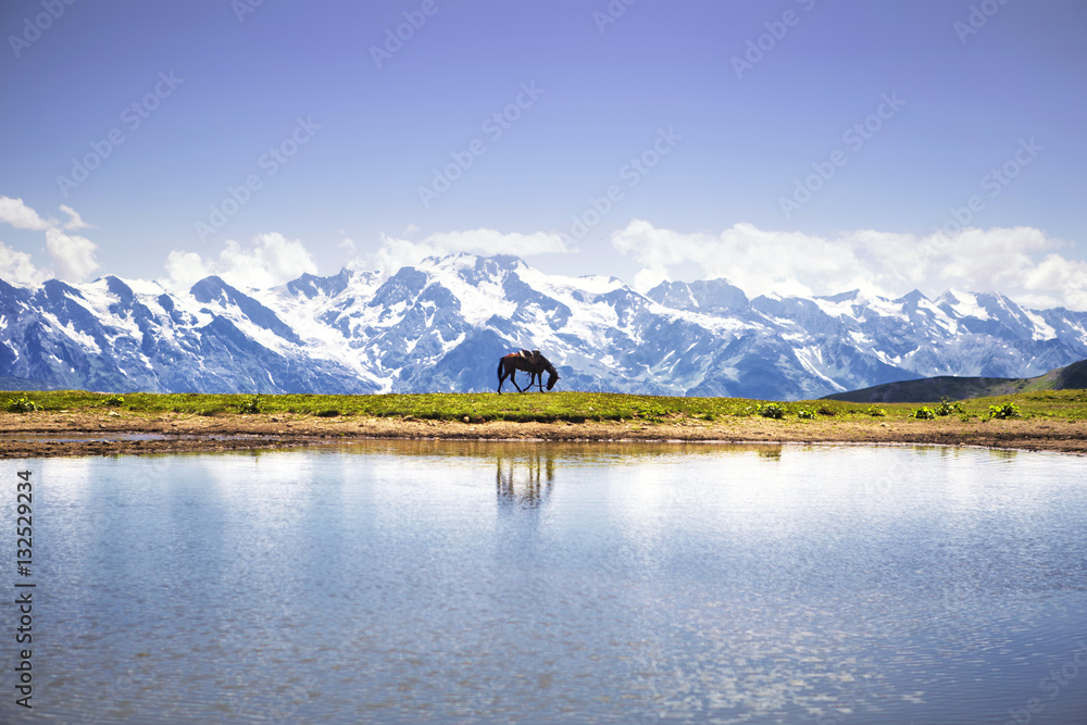 Horse near lake, among the mountains of the Caucasus