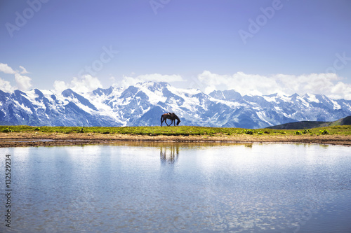 Fototapeta Naklejka Na Ścianę i Meble -  Horse near lake, among the mountains of the Caucasus