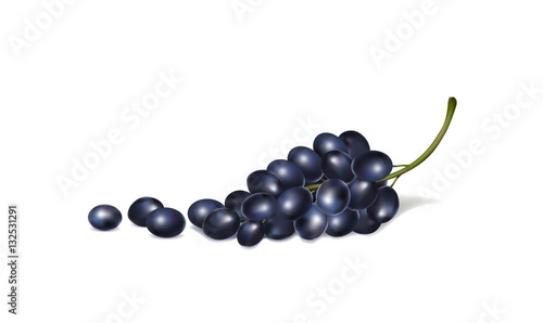 illustration of bunches of grapes on a white background