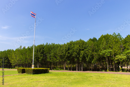 Thai flag on green grass field with forest tree behind