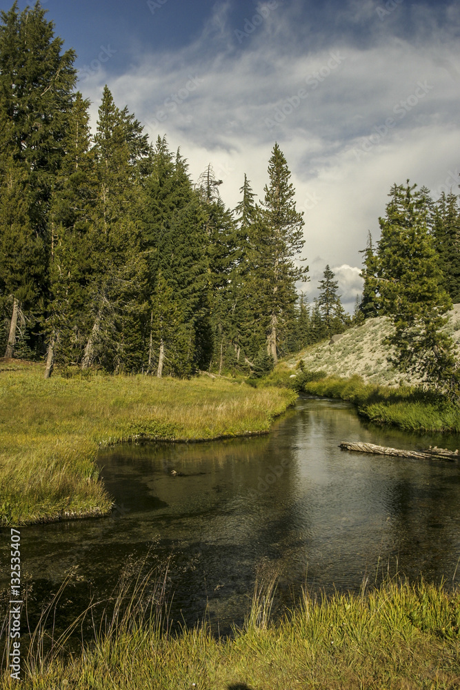 Fototapeta premium Lassen Volcanic Park Creek