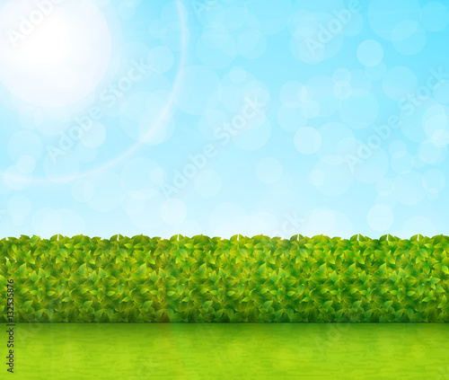 Garden background vector