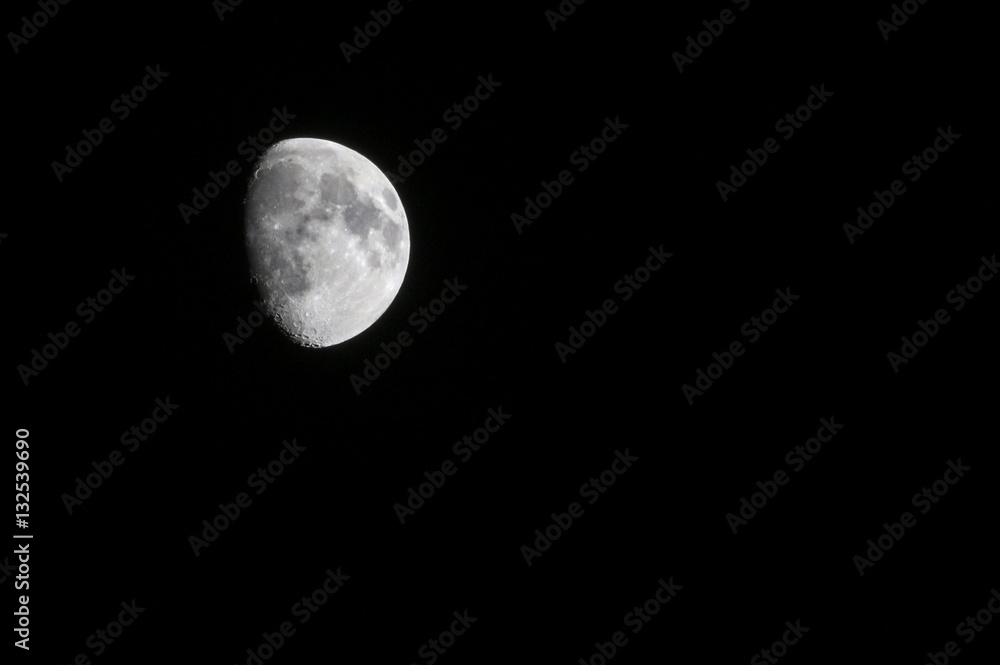 Obraz premium Gibbous moon left