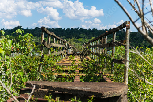 Overgrown footbridge in the Iguazu National Park in Argentina