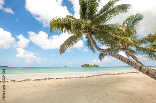 Beach view on the island of Praslin  Seychelles.