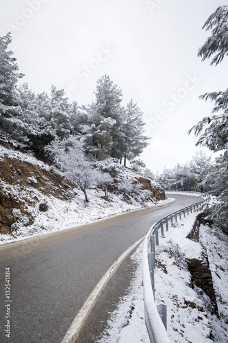 Snowy Road