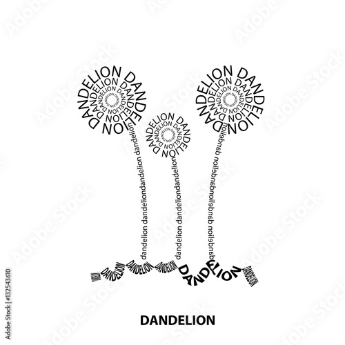 Dandelion text flower