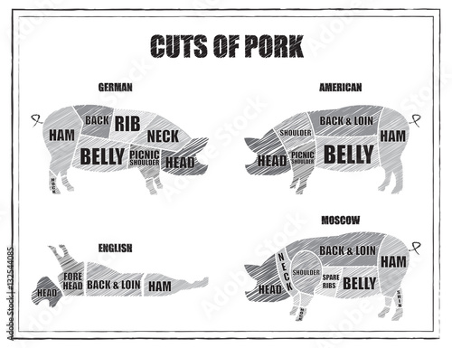 Set of butcher diagram pork. Cuts pig