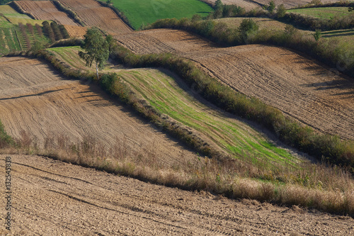 Fototapeta Naklejka Na Ścianę i Meble -  Polne pasma