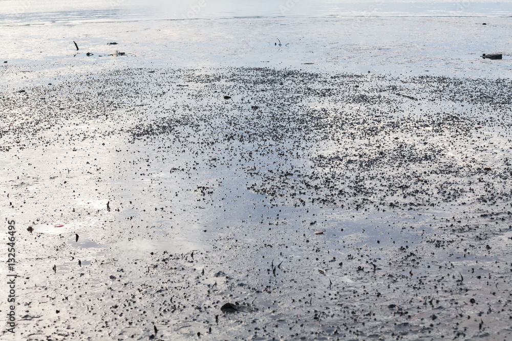 Close up view of mud texture for blur background