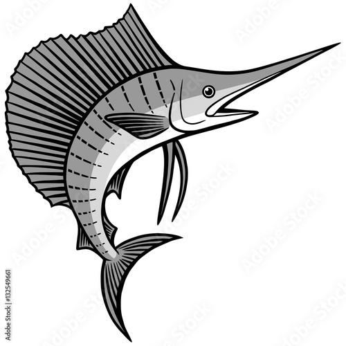 Sailfish Illustration
