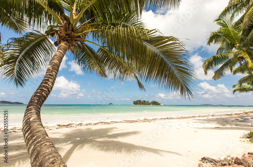 Beach view on the island of Praslin, Seychelles.