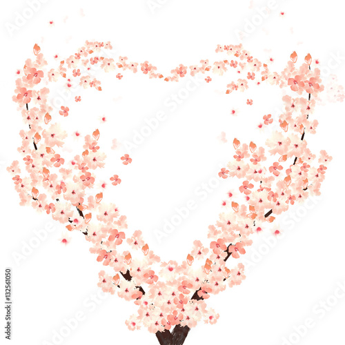 heart-shaped sakura branches in bloom isolated on white background