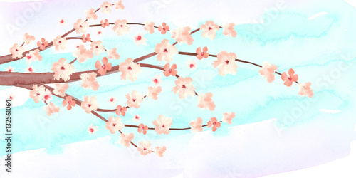 branch of sakura in bloom with skyline