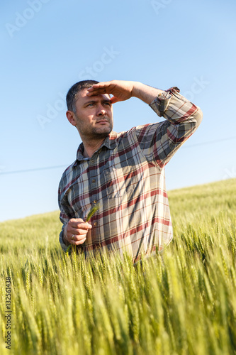 Portrait of young farmer in a field examining wheat crop.