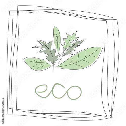 Green leaves and the words ECO