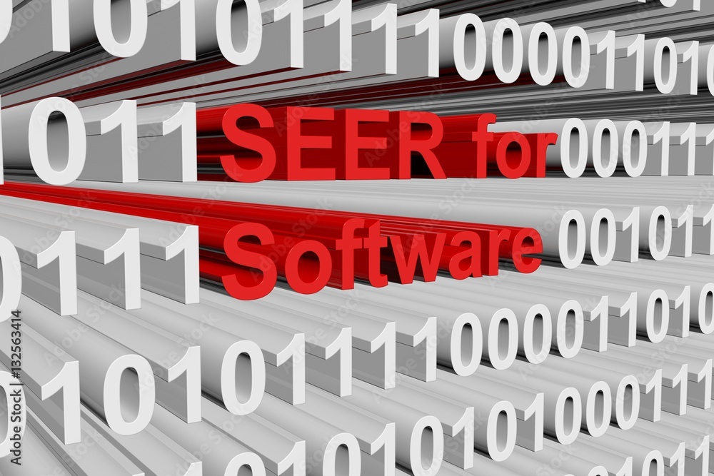 SEER for Software in the form of binary code, 3D illustration