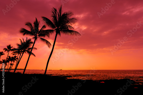 Kona sunset palm trees Big Island Hawaii © Stan Jones