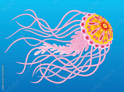 Pink jellyfish swimming in blue water