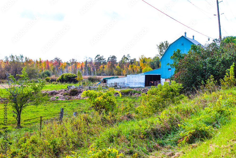 Country barn Country barn