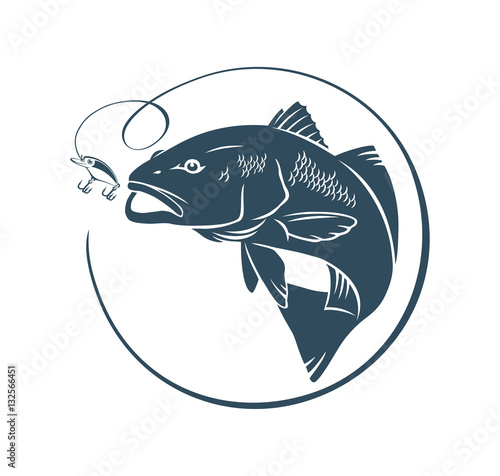 Photography red  fish