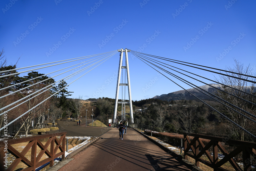 Fototapeta premium 大分県九重町 九重夢大吊橋