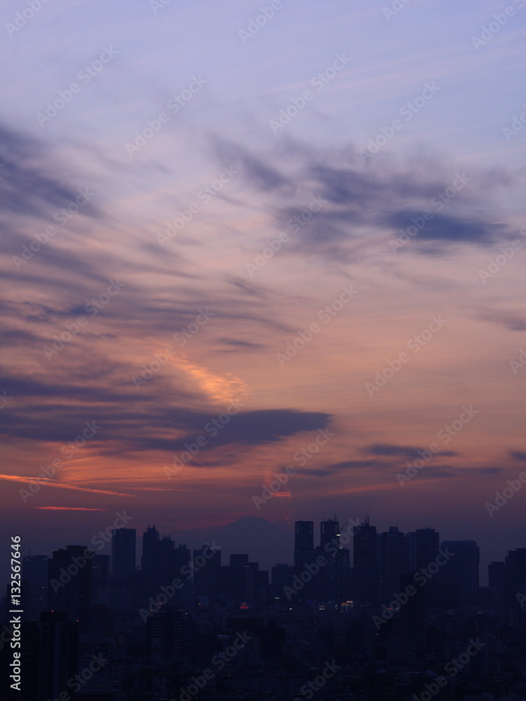 Shinjuku cityscape and Mt. Fuji silhouette at twilight in Tokyo, JAPAN.