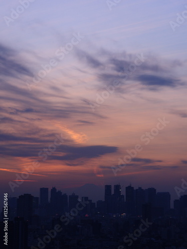 Shinjuku cityscape and Mt. Fuji silhouette at twilight in Tokyo, JAPAN.