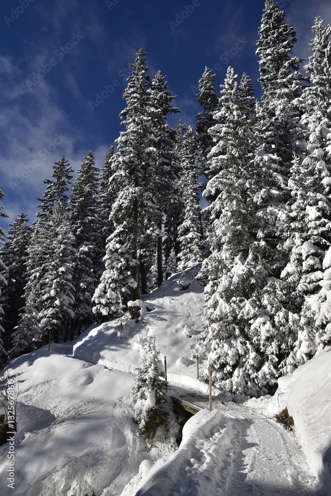 Fototapeta premium Winter Wunderwelt