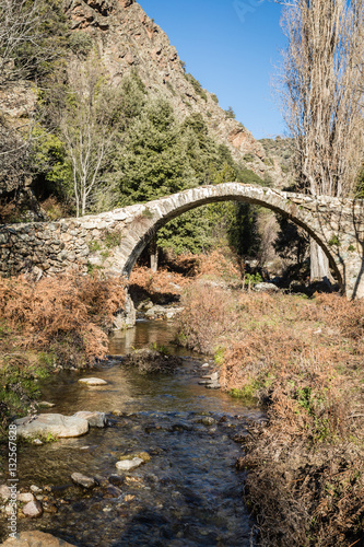 Old Genoese bridge in the Tartagine valley in Corsica
