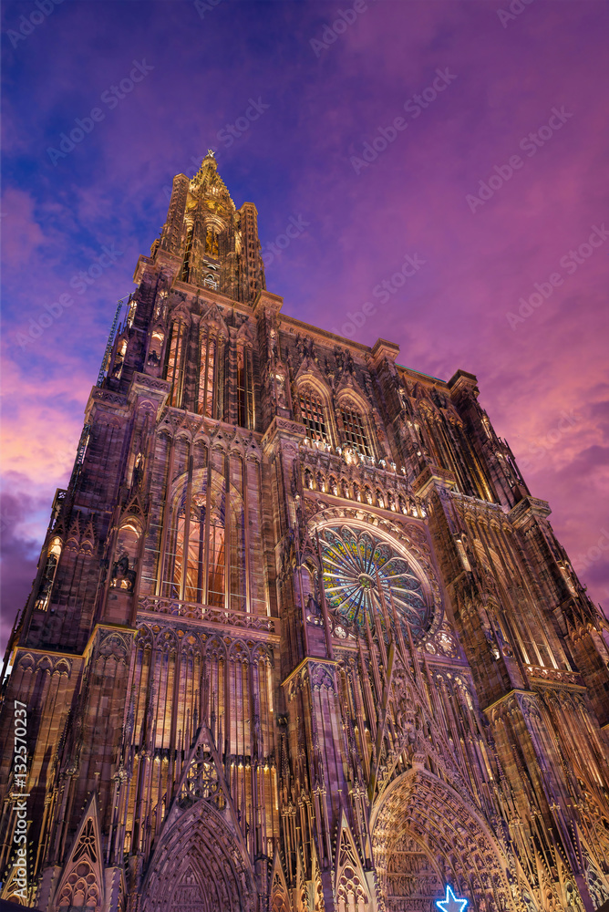 Fototapeta premium View of Strasbourg Cathedral from ground. Alsace