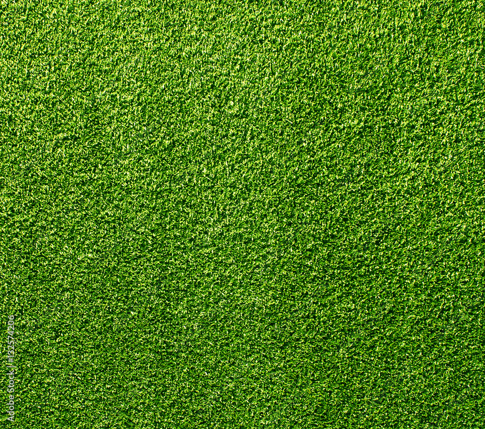 Obraz premium artificial Grass