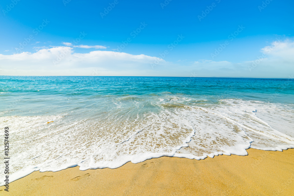 Naklejka premium golden shore in Pacific Beach
