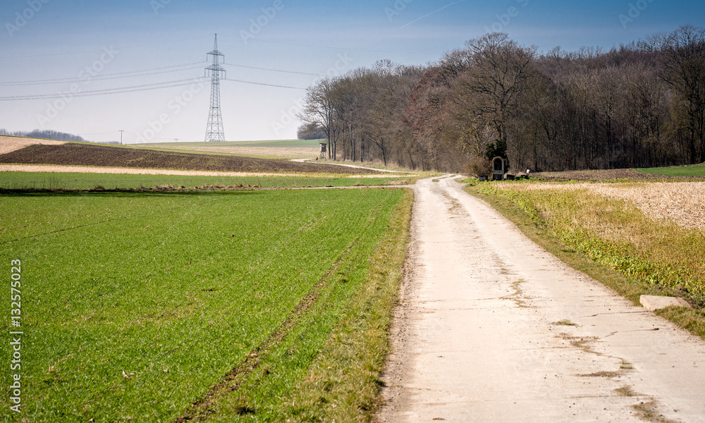 Rural landscape