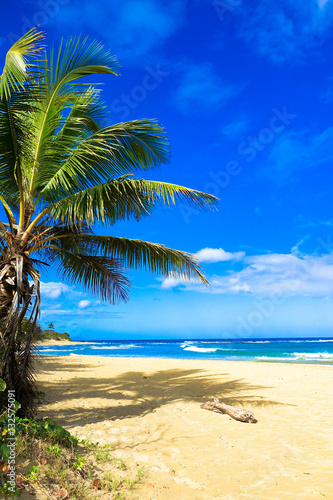 Tropical Beach