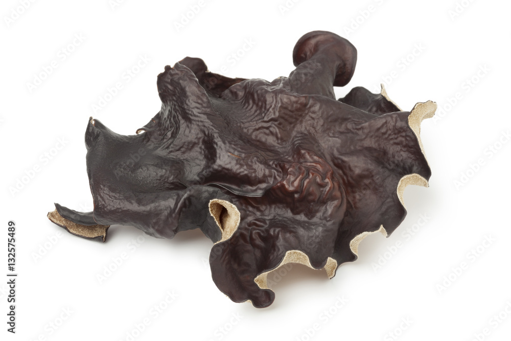 Obraz premium Single jews ear mushroom