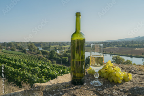 Vineyards, Gate of Bohemia, a bottle and a glass of white wine,the sun shines, the river, Czech Republic, Europe