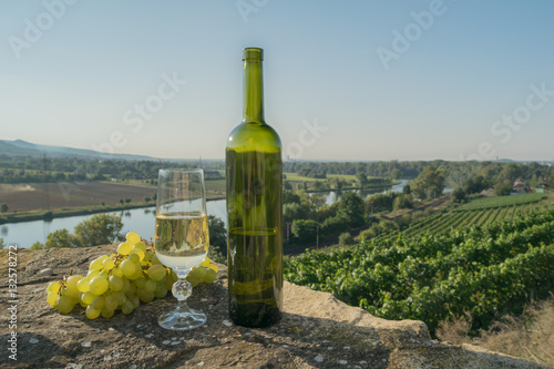 Vineyards, Gate of Bohemia, a bottle and a glass of white wine,the sun shines, the river, Czech Republic, Europe
