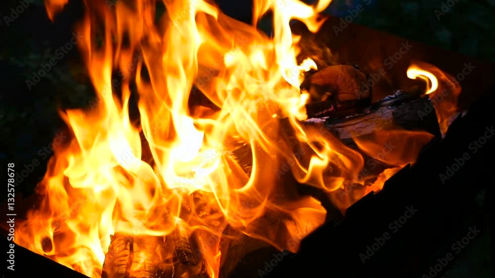 Fire burning in the fireplace Fire burning in the fireplace