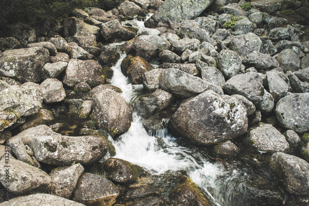 Forest stream, beautiful motion blurred water stream landscape. High Tatras, Slovakia Forest stream, beautiful motion blurred water stream landscape. High Tatras, Slovakia