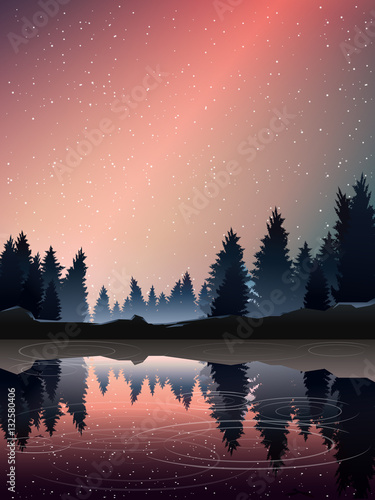 pine wood near lake at dusk