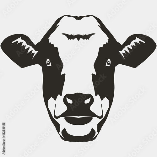 Cow head vector