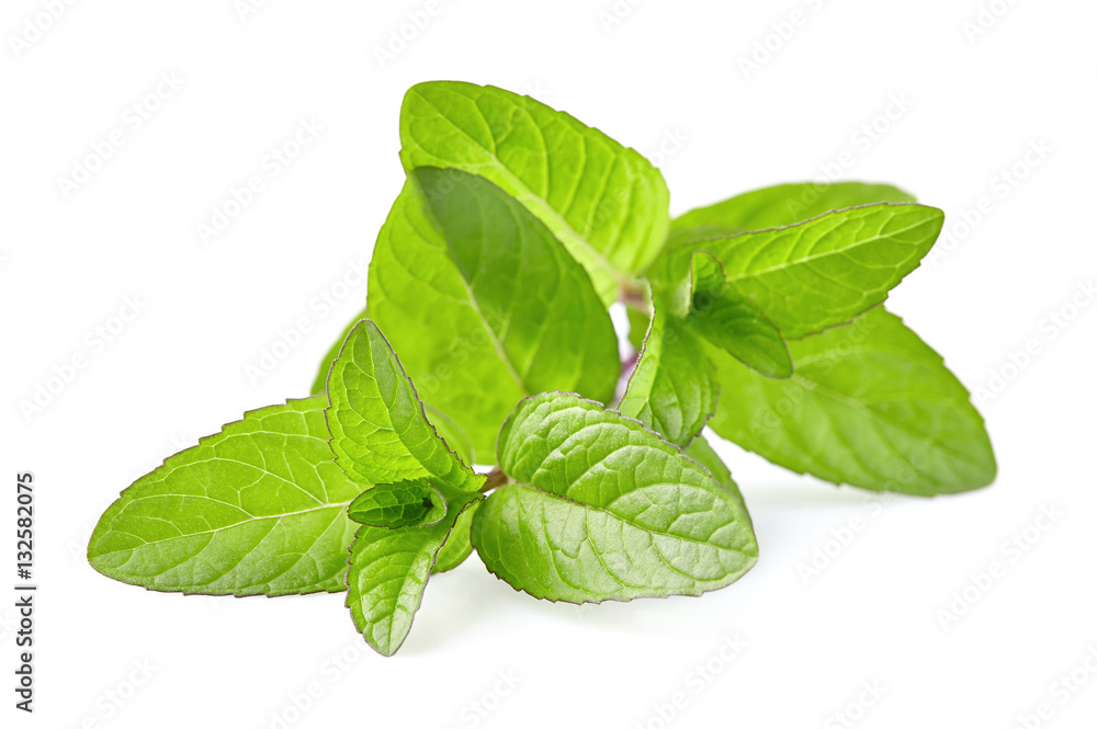 Mint leaves Mint leaves
