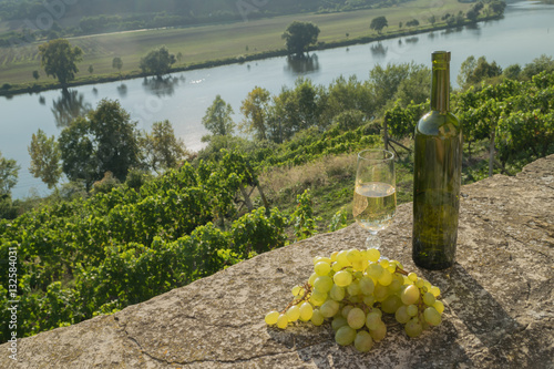 Vineyards, Gate of Bohemia, a bottle and a glass of white wine, the sun shines, Czech Republic, Europe photo