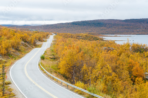 Empty road with low vegetation on the side in the Norwegian countryside