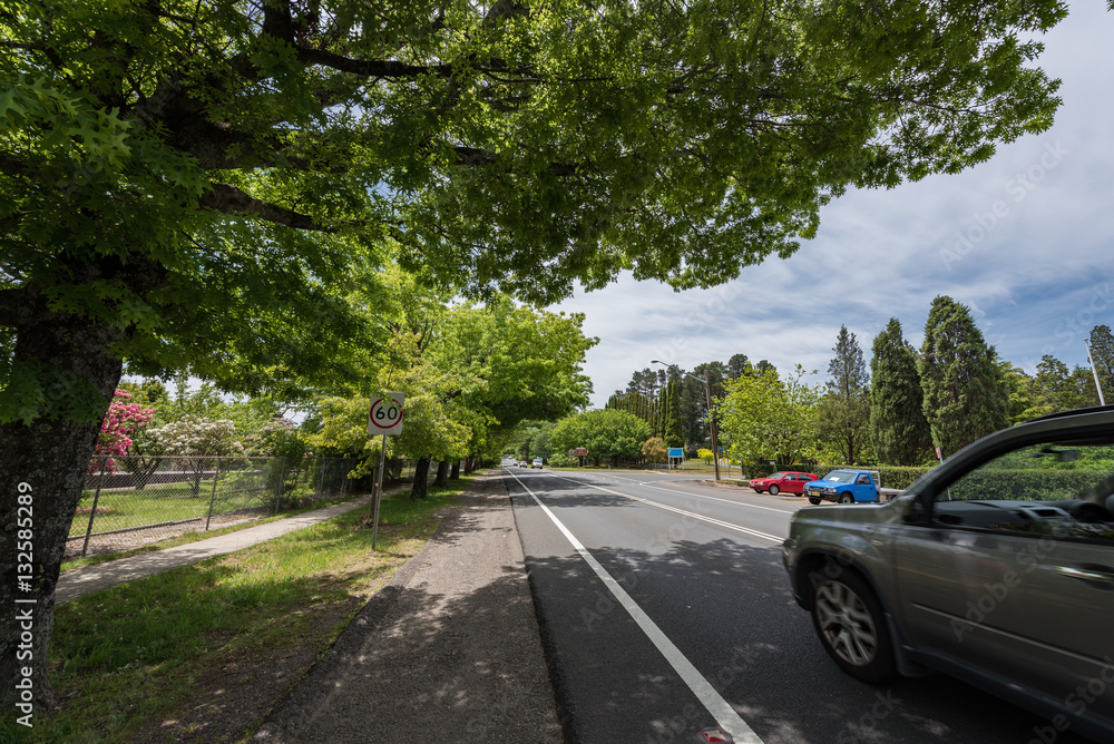 Fototapeta premium Sydney, Australia - November 20, 2016: Rural streets on the way to blue mountain scenery in NSW national park, Australia.