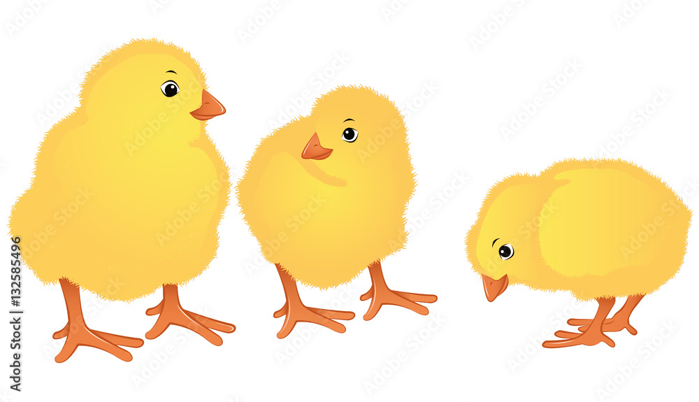 Cute Easter chicks